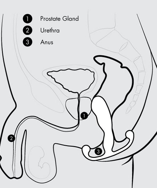 Aneros Progasm Prostaat Stimulator Ice