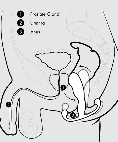 Aneros MGX Syn Trident Prostaat Stimulator