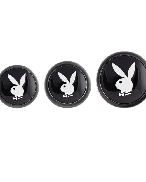 Playboy Pleasure Metalen Buttplug Set