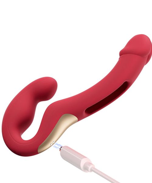 HoneyPlayBox Harmony Duo Vibrator Met App 24 cm Blauw